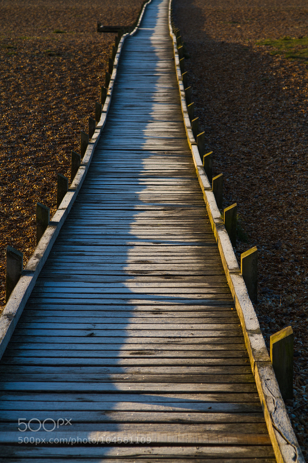 Canon EOS 7D sample photo. Untitled photography