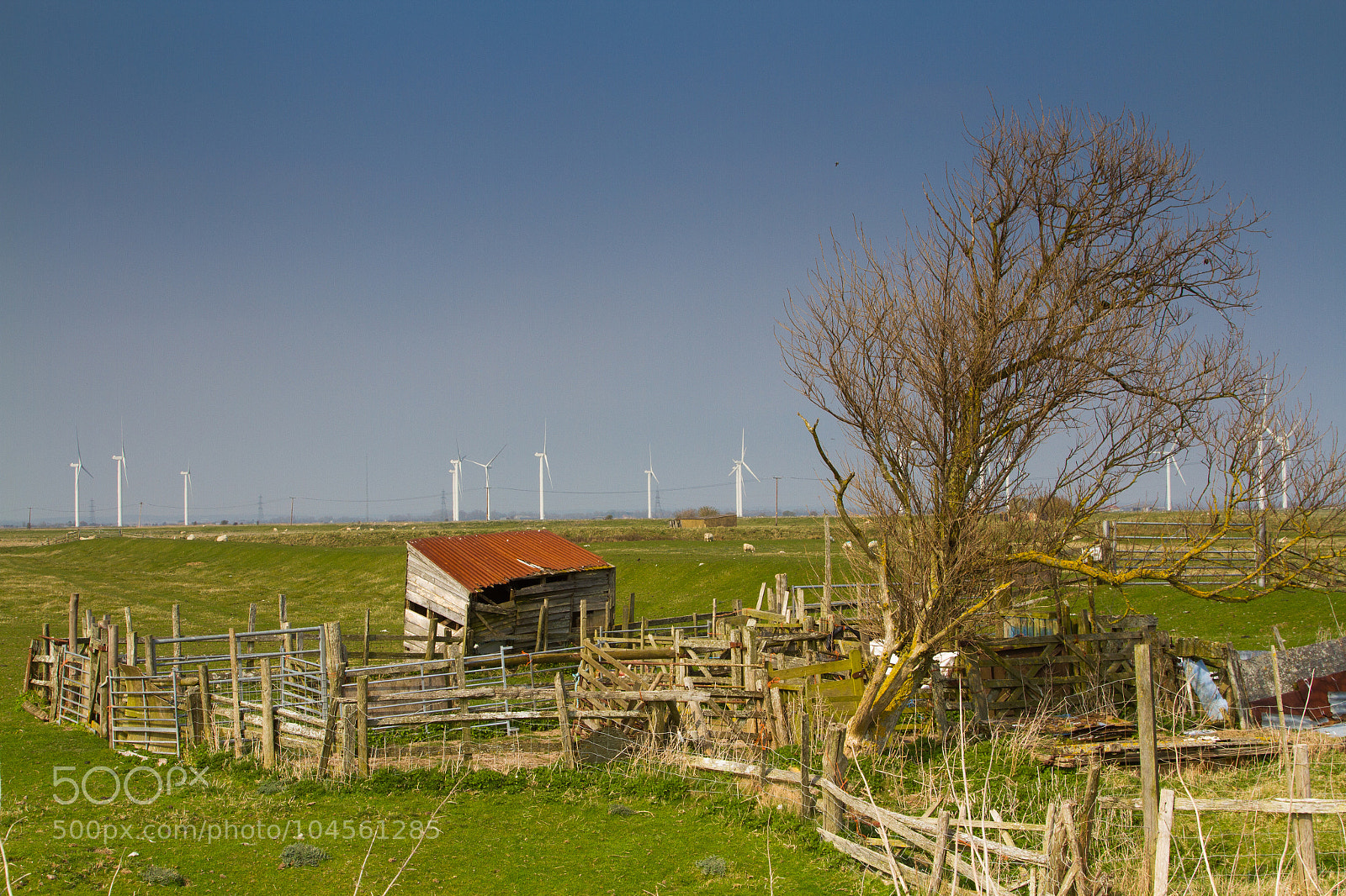 Canon EOS 7D sample photo. Untitled photography