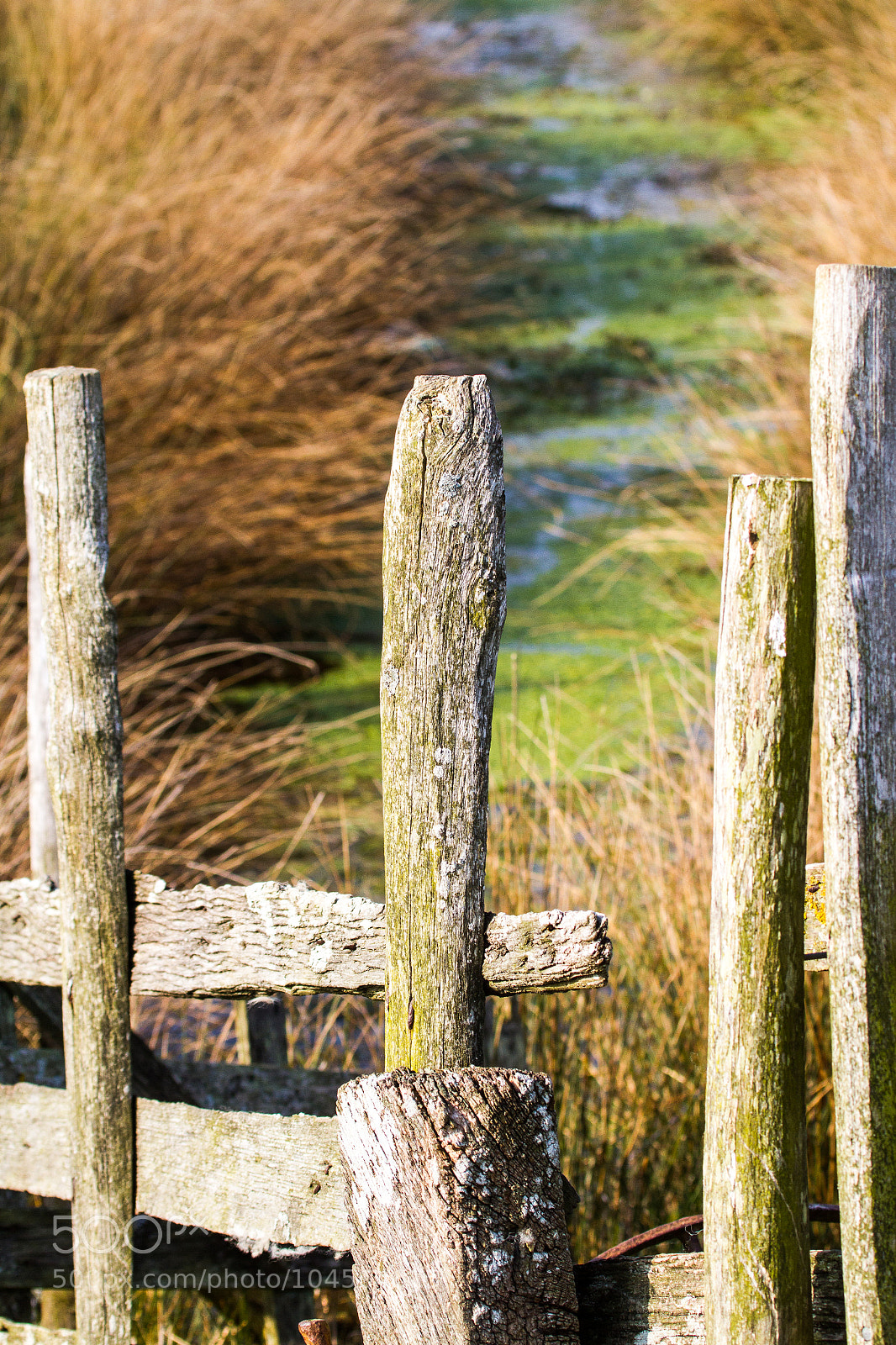 Canon EOS 7D sample photo. Untitled photography
