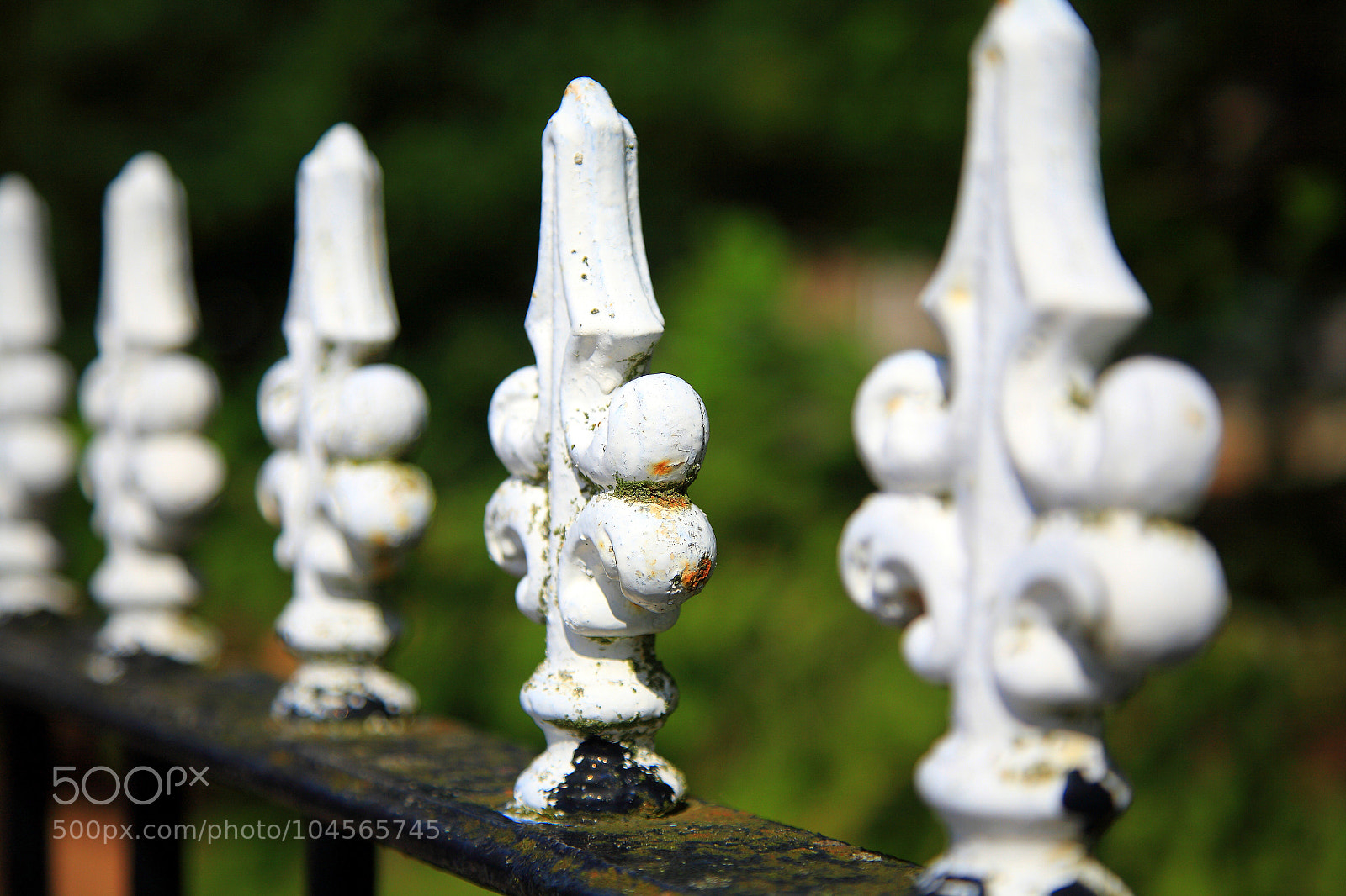Canon EOS 5D sample photo. Untitled photography