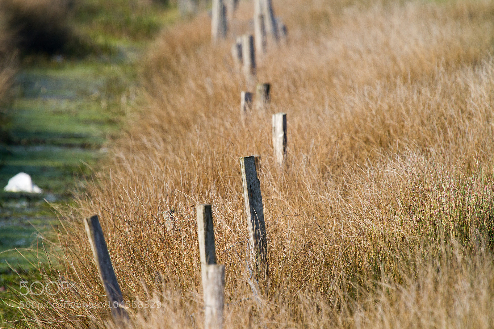 Canon EOS 7D sample photo. Untitled photography