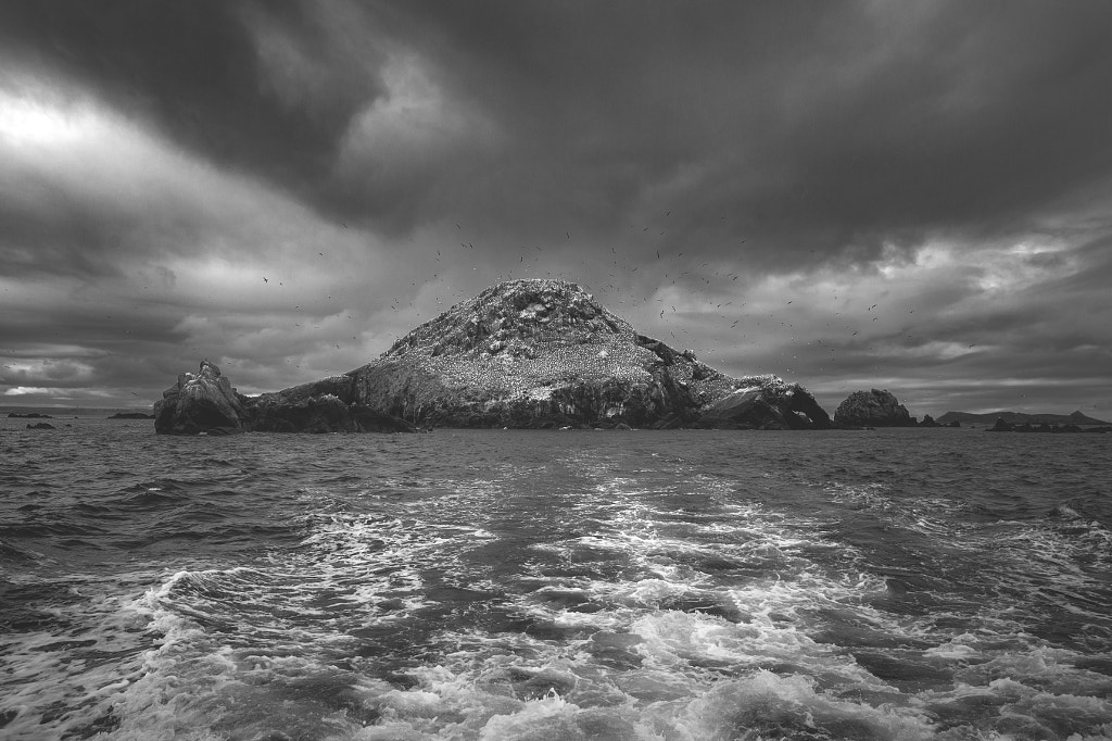 Réserve naturelle nationale des sept îles by Gaëlle Vecchiarelli / 500px