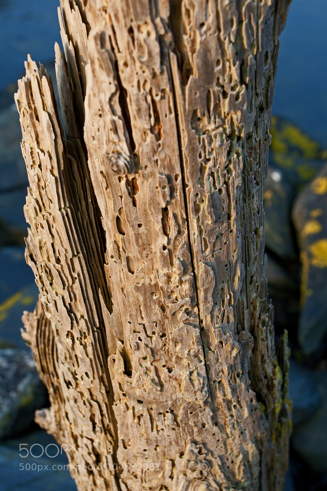 Canon EOS 30D sample photo. Untitled photography