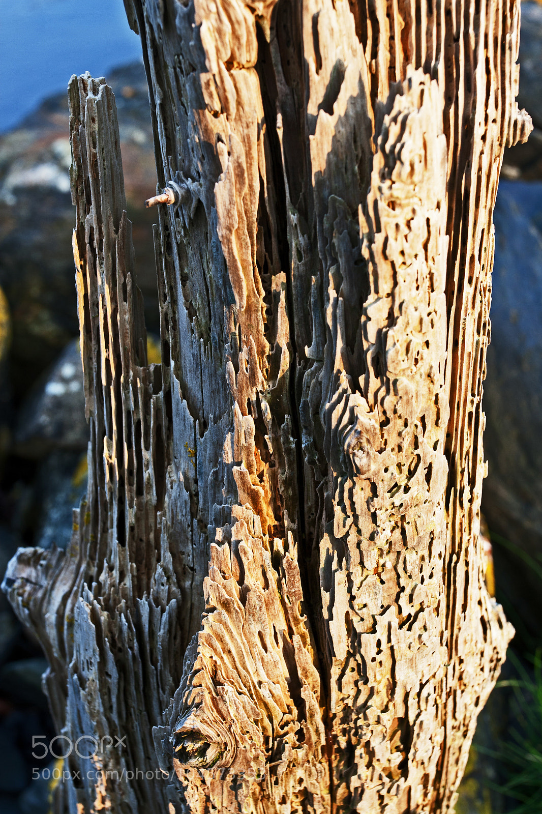 Canon EOS 30D sample photo. Untitled photography
