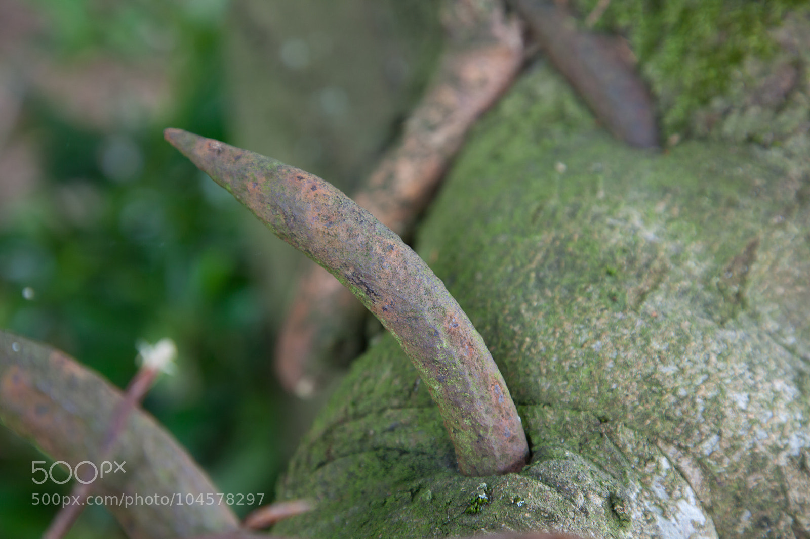Canon EOS 5D Mark II sample photo. Untitled photography