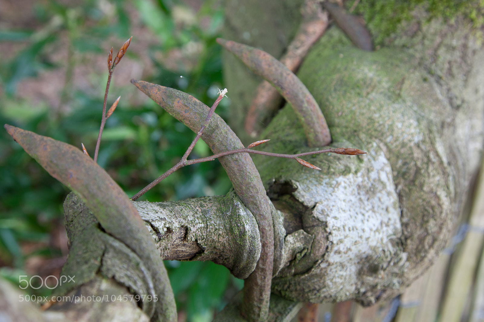 Canon EOS 5D Mark II sample photo. Untitled photography