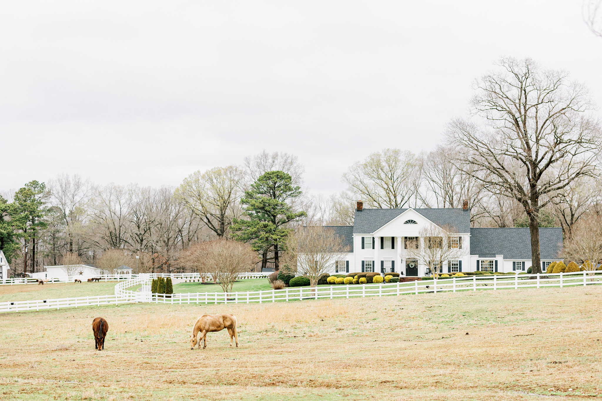 Seven Paths Manor Wedding