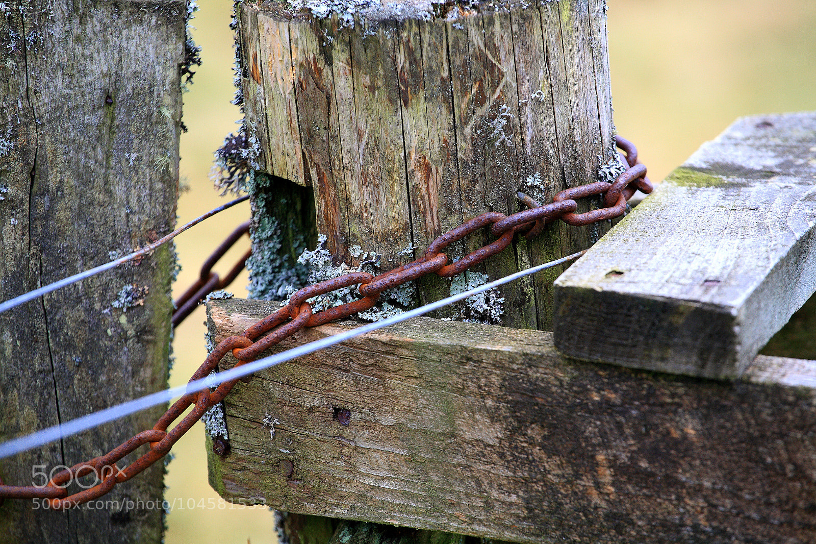Canon EOS 5D sample photo. Untitled photography