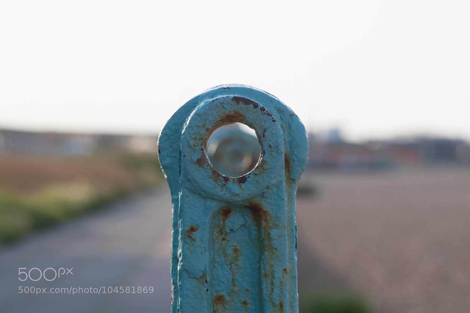 Canon EOS 5D Mark II sample photo. Untitled photography
