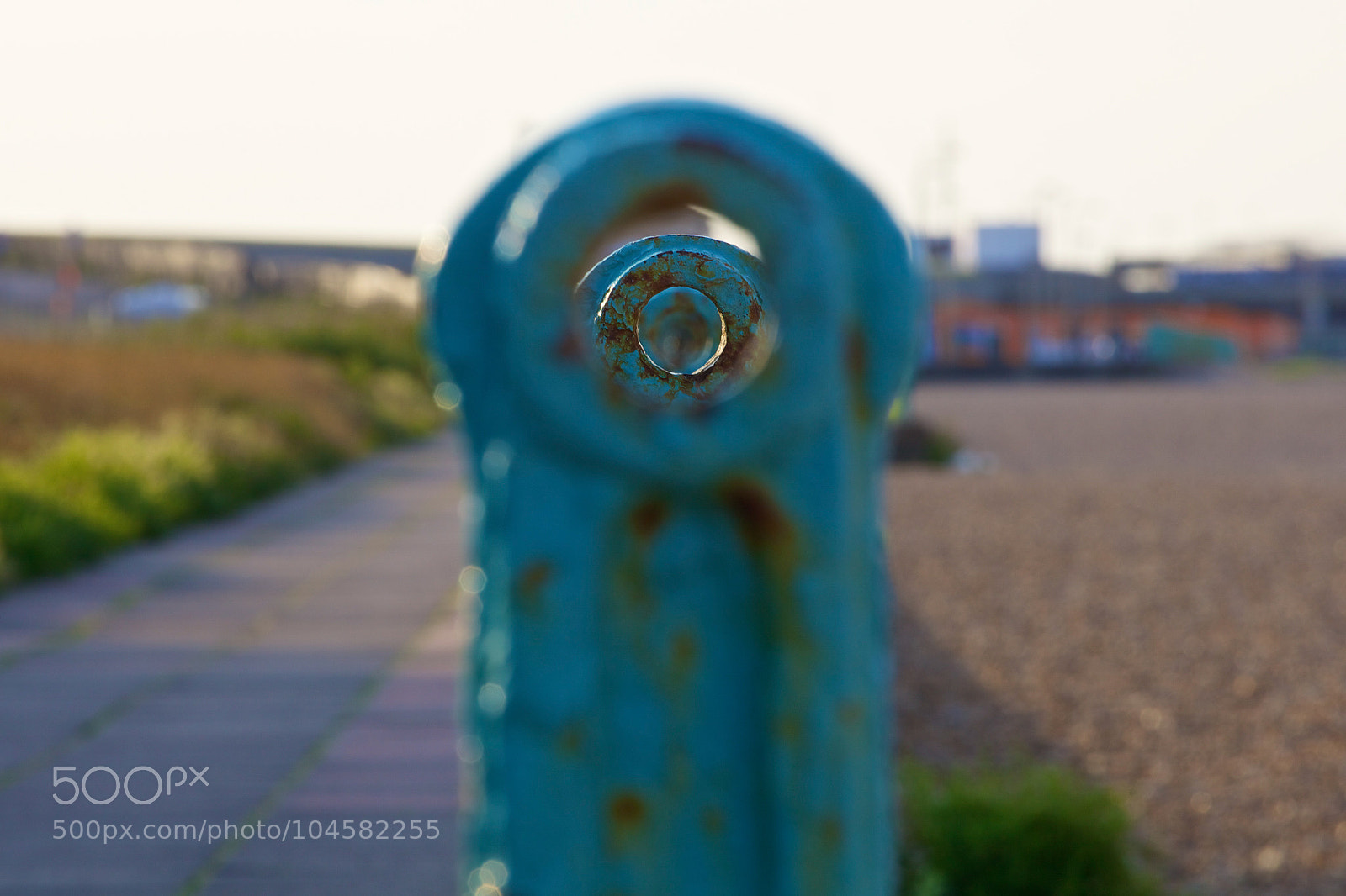 Canon EOS 5D Mark II sample photo. I spy with my photography