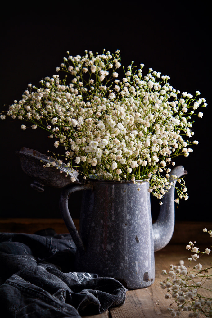 GYPSOPHILA BOUQUET. by icz_photography on 500px.com