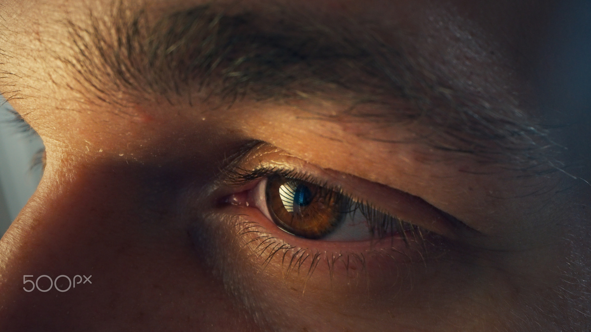 Macro shot of man's eye. Young man working on computer. Concentrated