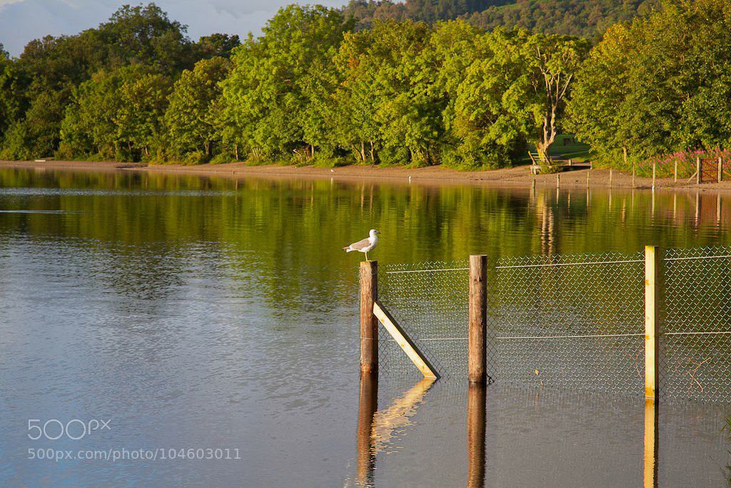 Canon EOS 5D Mark II sample photo. Untitled photography