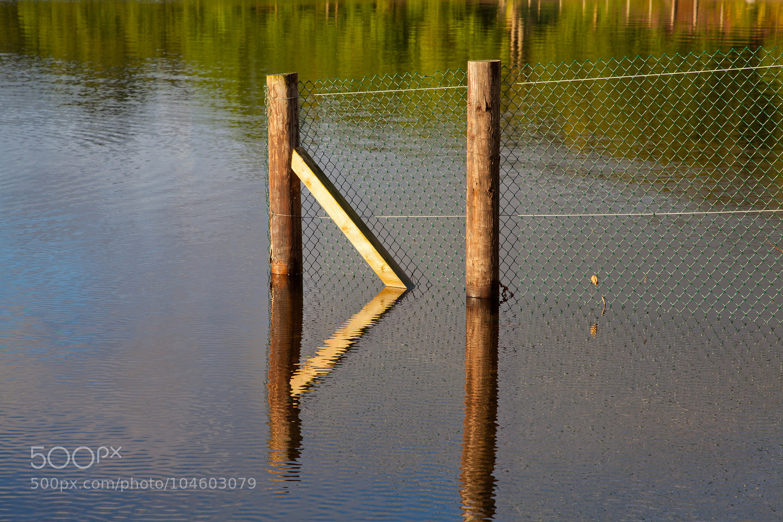 Canon EOS 5D Mark II sample photo. Untitled photography