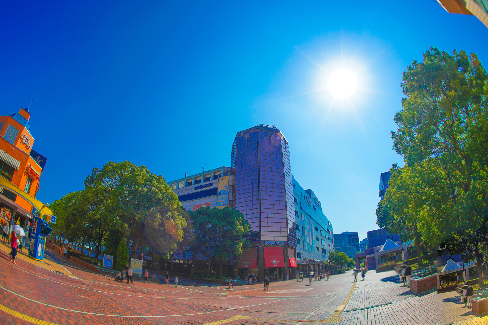 Quarter of the early summer of Tama Center