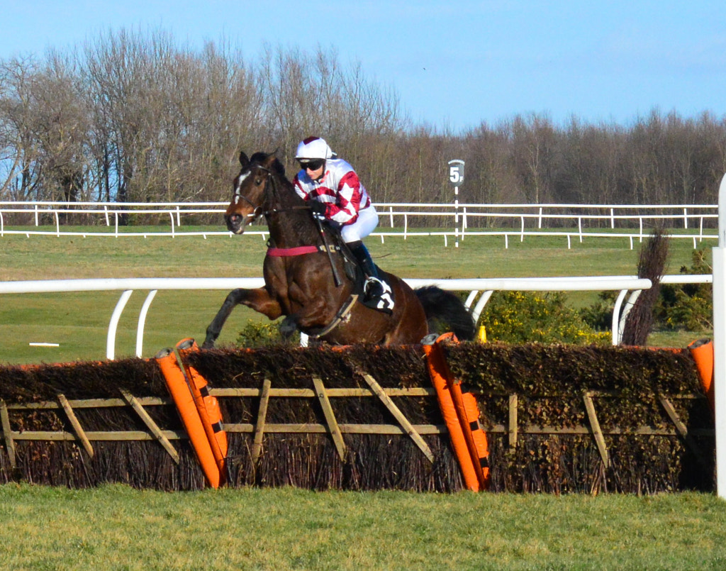 Musselburgh Races 19 Feb 2015 by VWF Photography / 500px