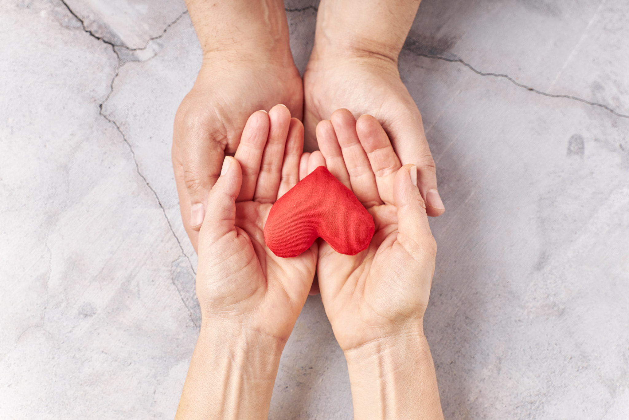 Hands holding a red heart, health care, donate. world heart day