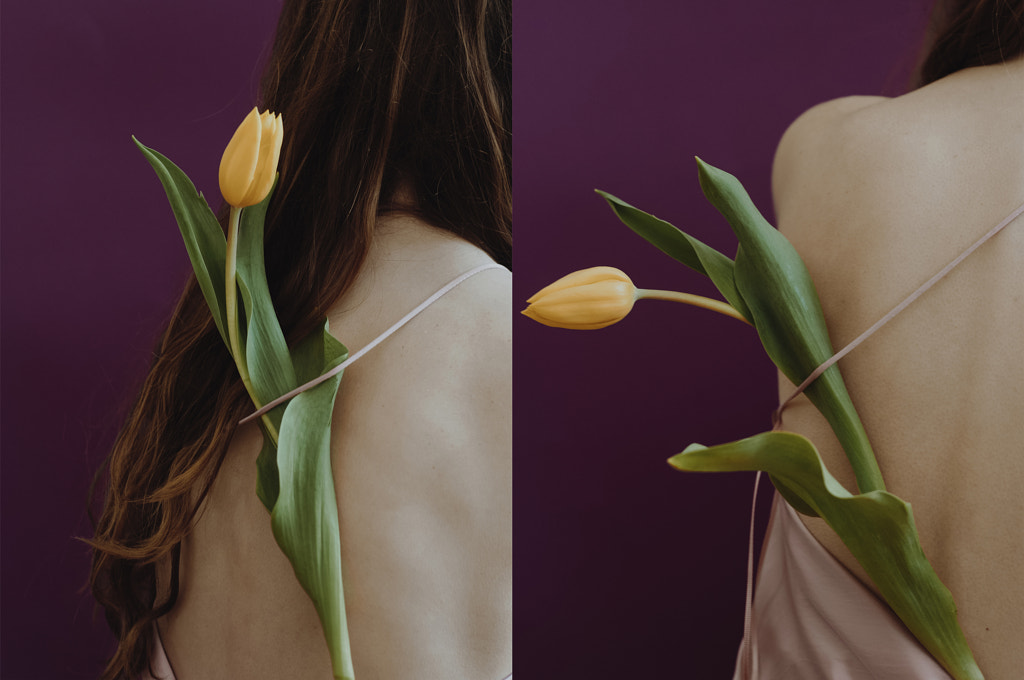 Tulip by Miriana Pinna on 500px.com