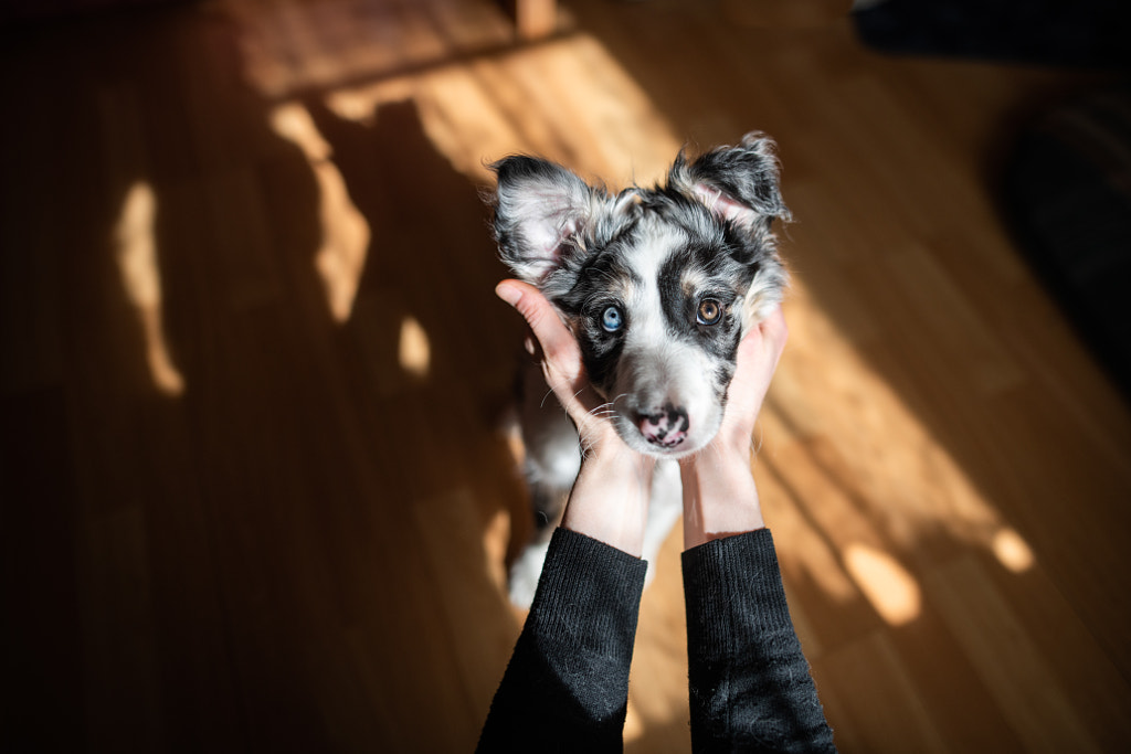 Women cuddling a puppy by Iza ?yso? on 500px.com