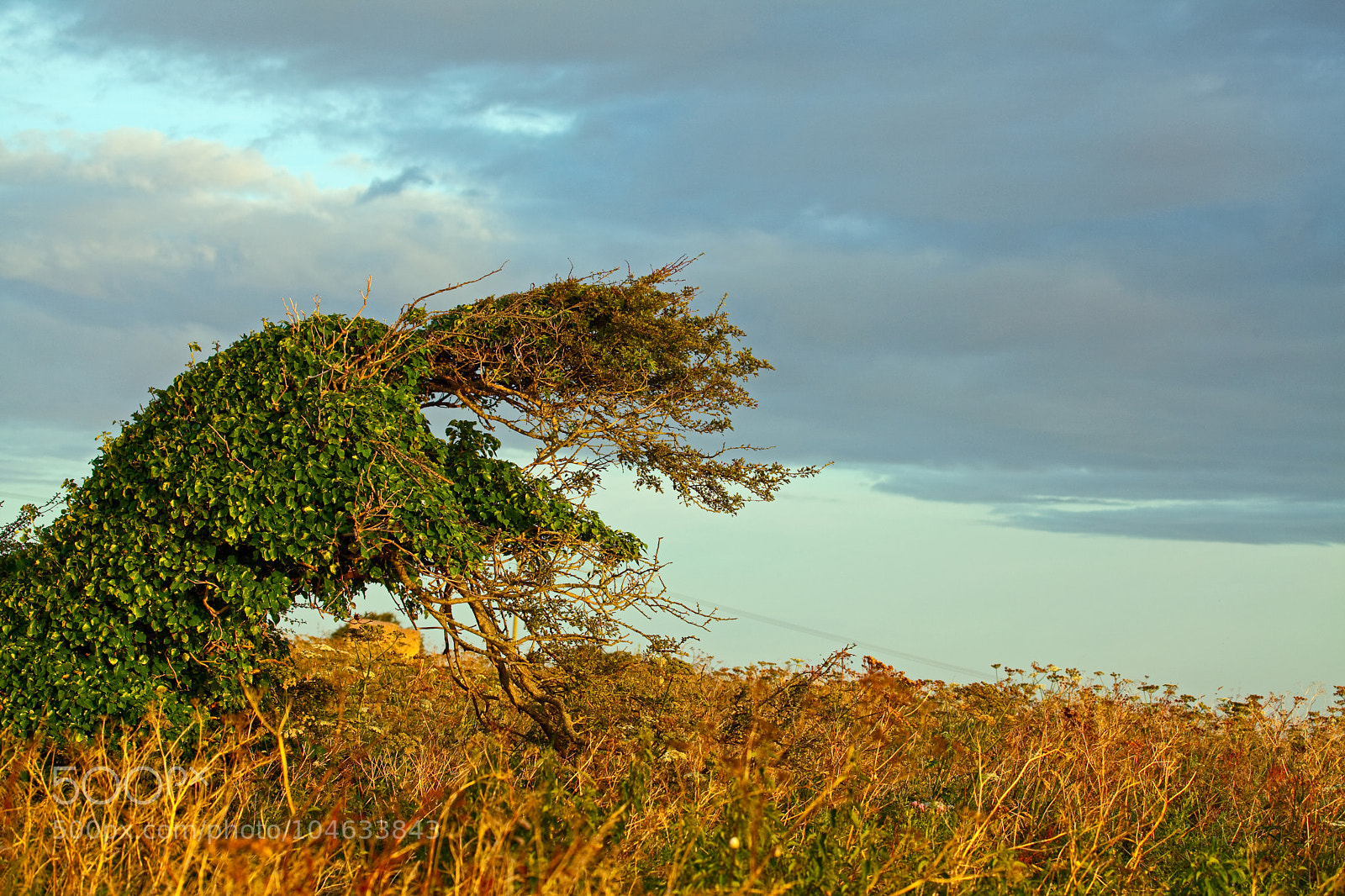 Canon EOS 5D Mark II sample photo. Untitled photography