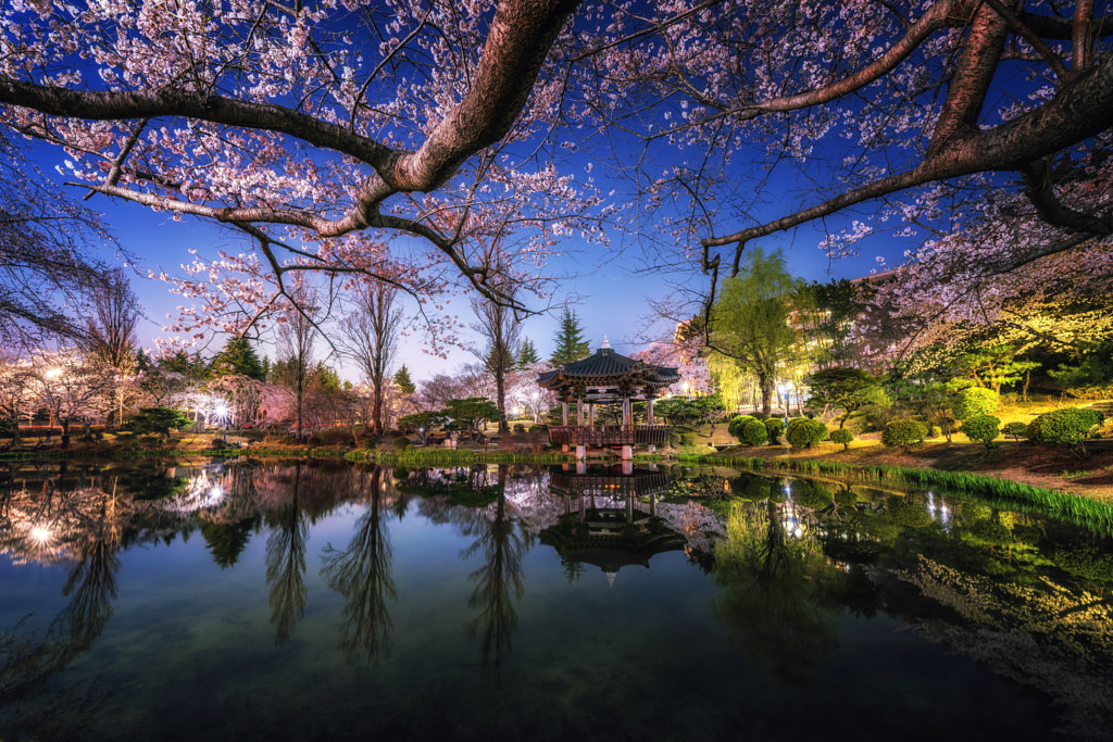 Spring reflection by Jaewoon U on 500px.com