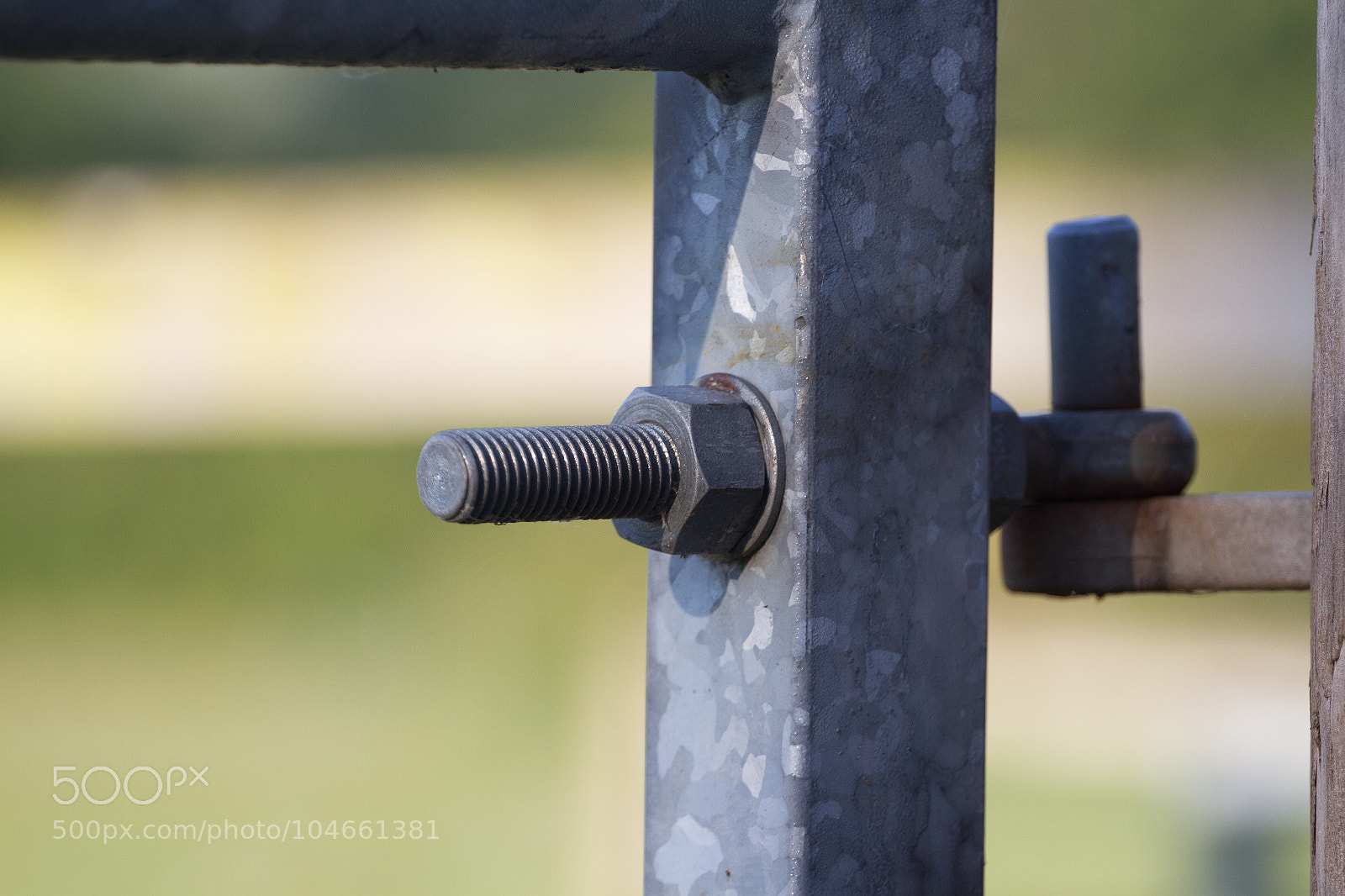 Canon EOS 7D sample photo. Untitled photography