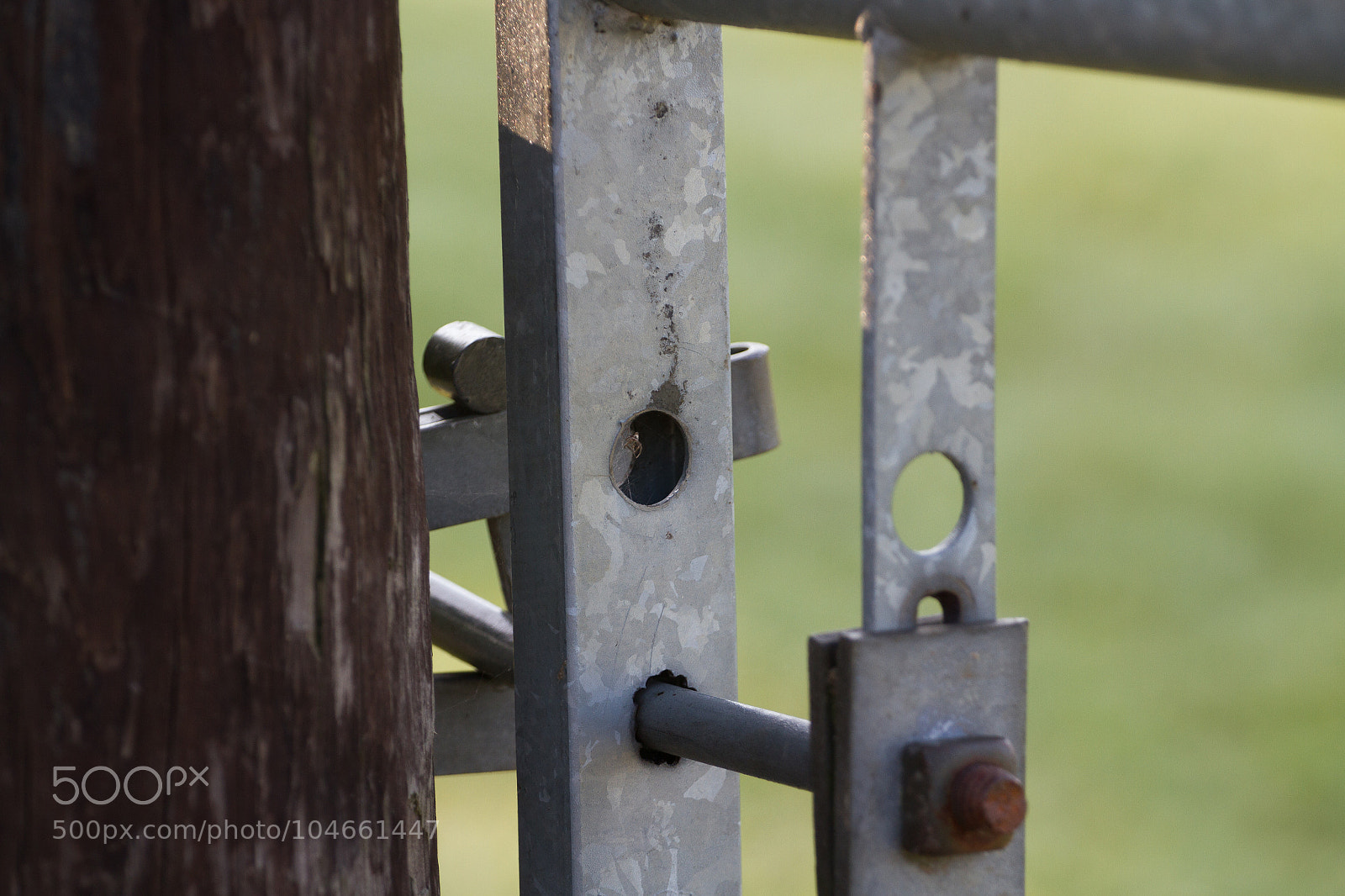 Canon EOS 7D sample photo. Untitled photography