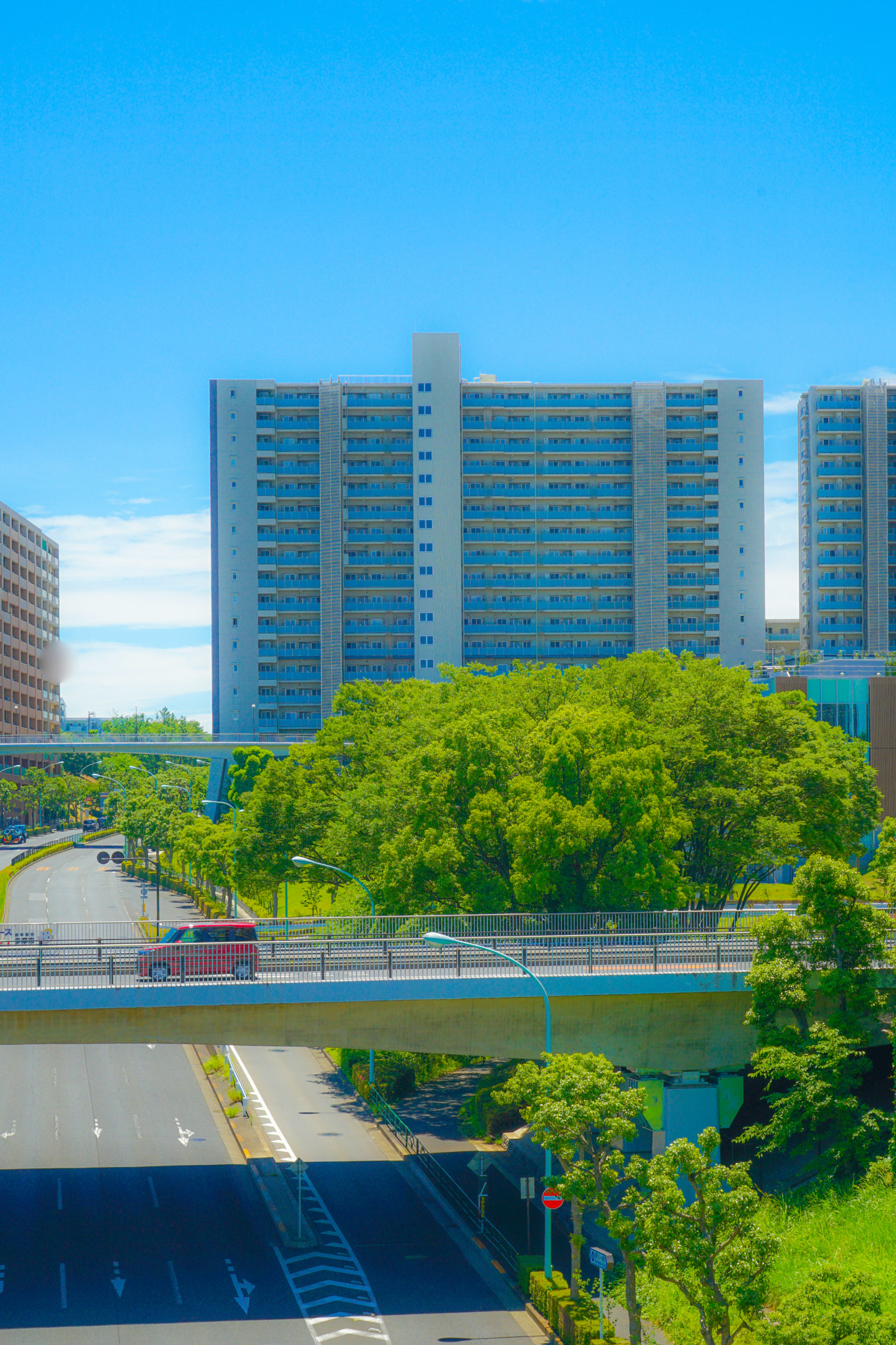 Quarter of the early summer of Tama Center