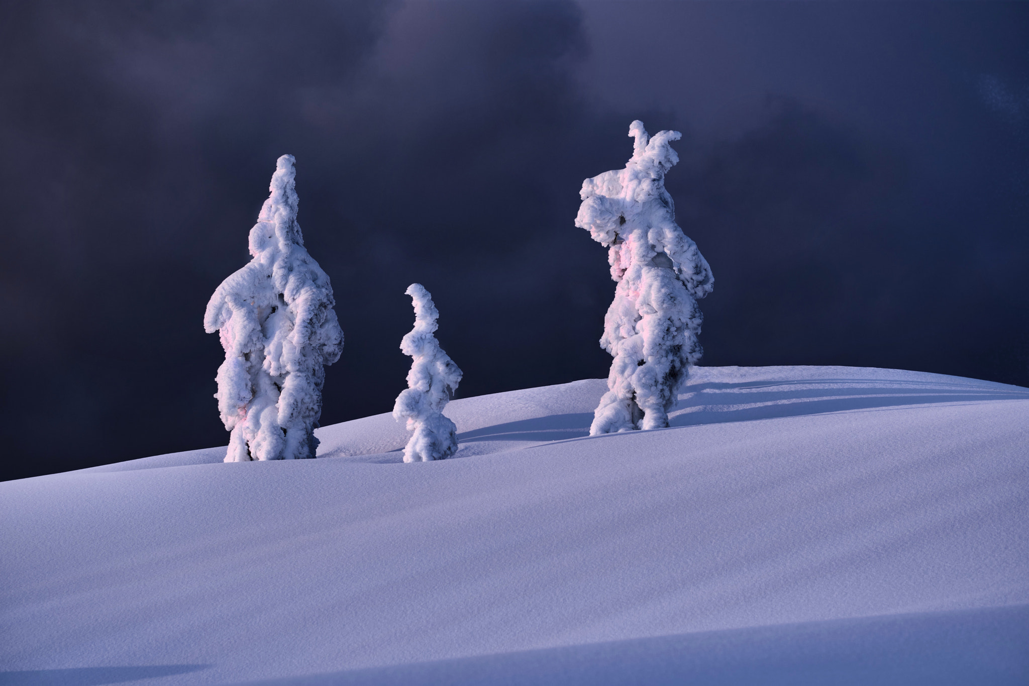 Snow Ghosts