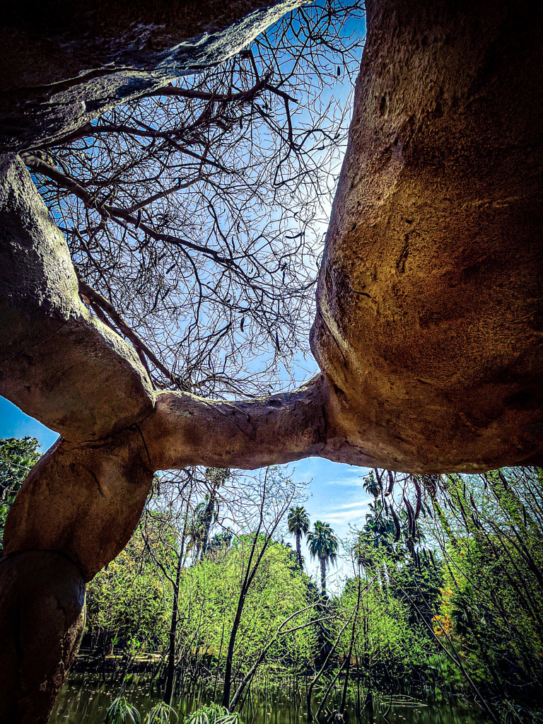 window to the sky by Aitham  Fares on 500px.com