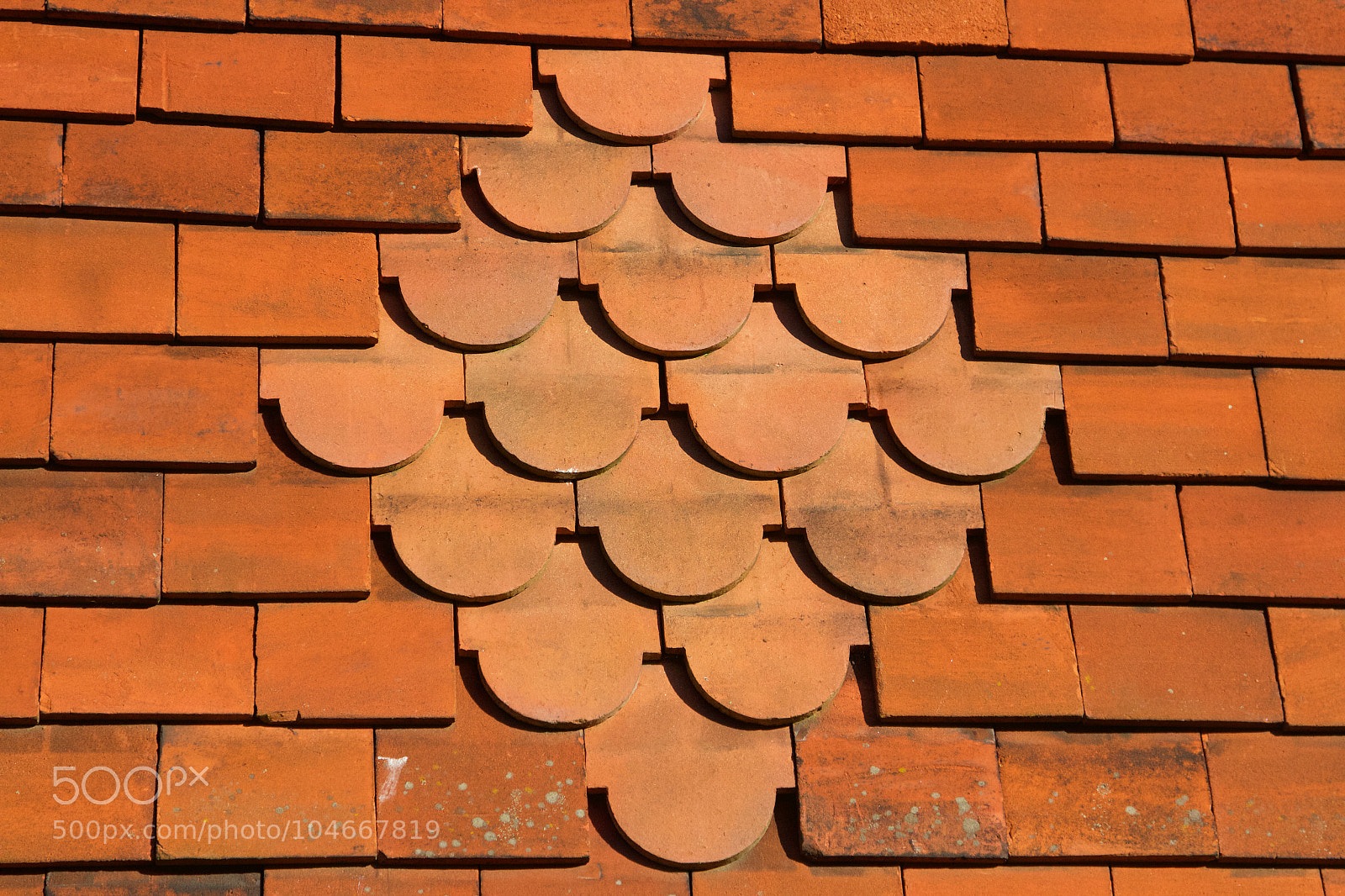 Canon EOS 7D sample photo. Untitled photography