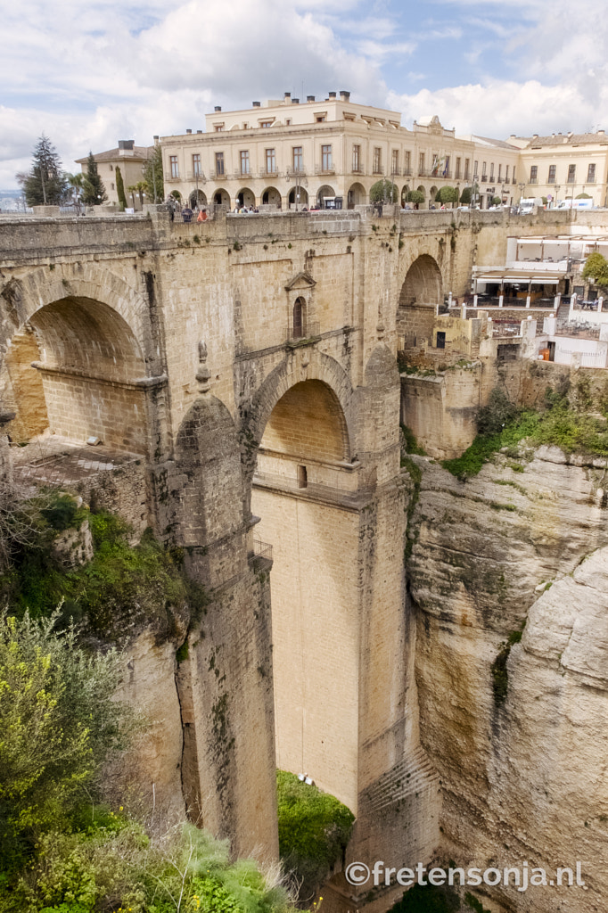 Untitled by www.fretensonja.nl on 500px.com