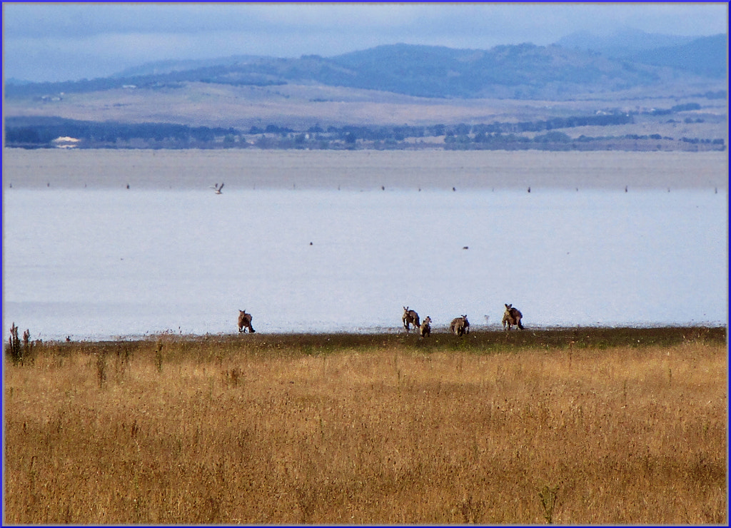 Lake George Roos 1 by Justin B. on 500px.com