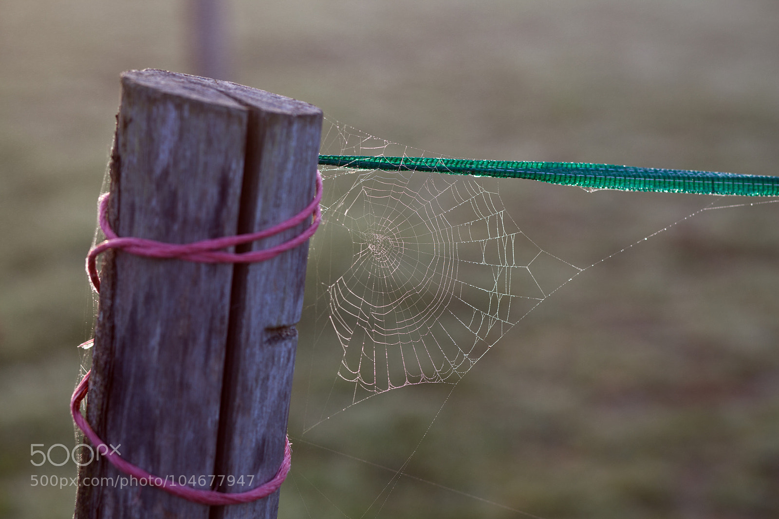 Canon EOS 5D Mark II sample photo. Untitled photography