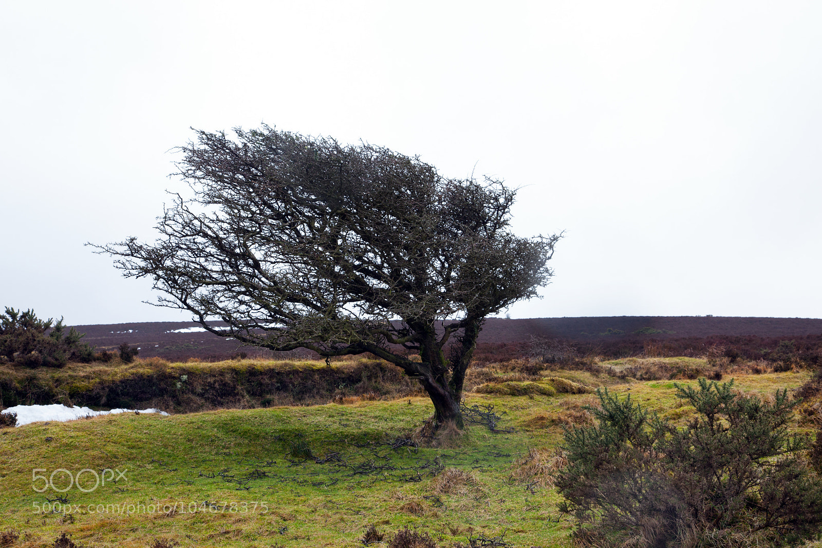 Canon EOS 5D Mark II sample photo. Untitled photography