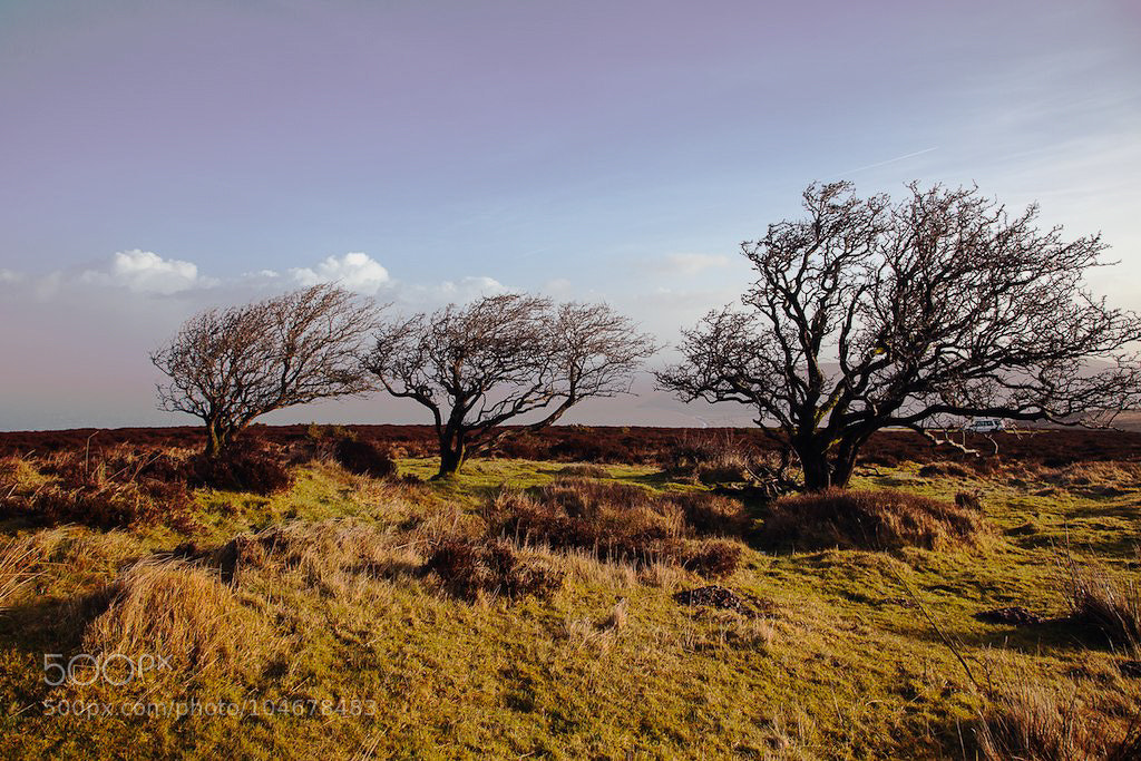 Canon EOS 5D Mark II sample photo. Untitled photography