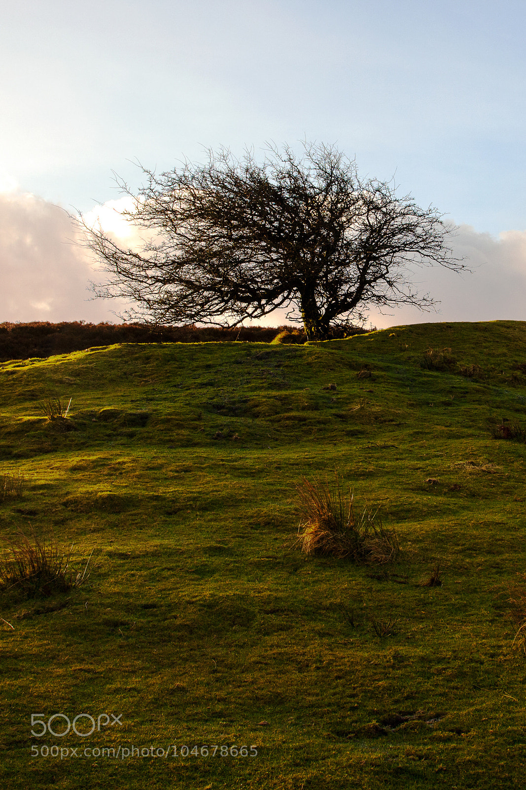 Canon EOS 5D Mark II sample photo. Untitled photography