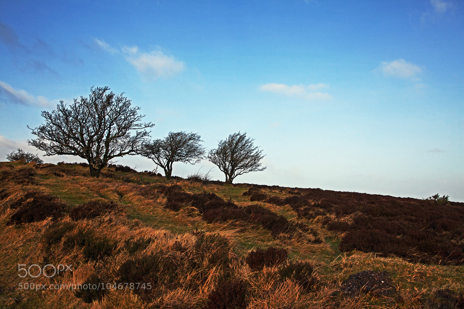 Canon EOS 5D Mark II sample photo. Untitled photography
