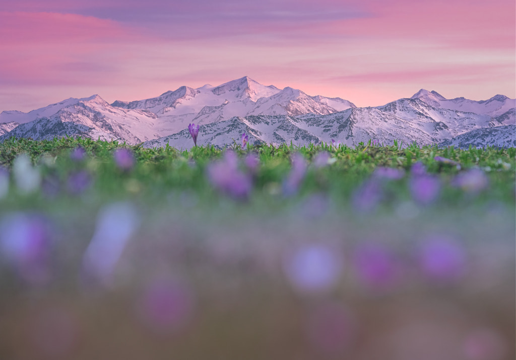 Spring in the Alps by Stefan Thaler on 500px.com