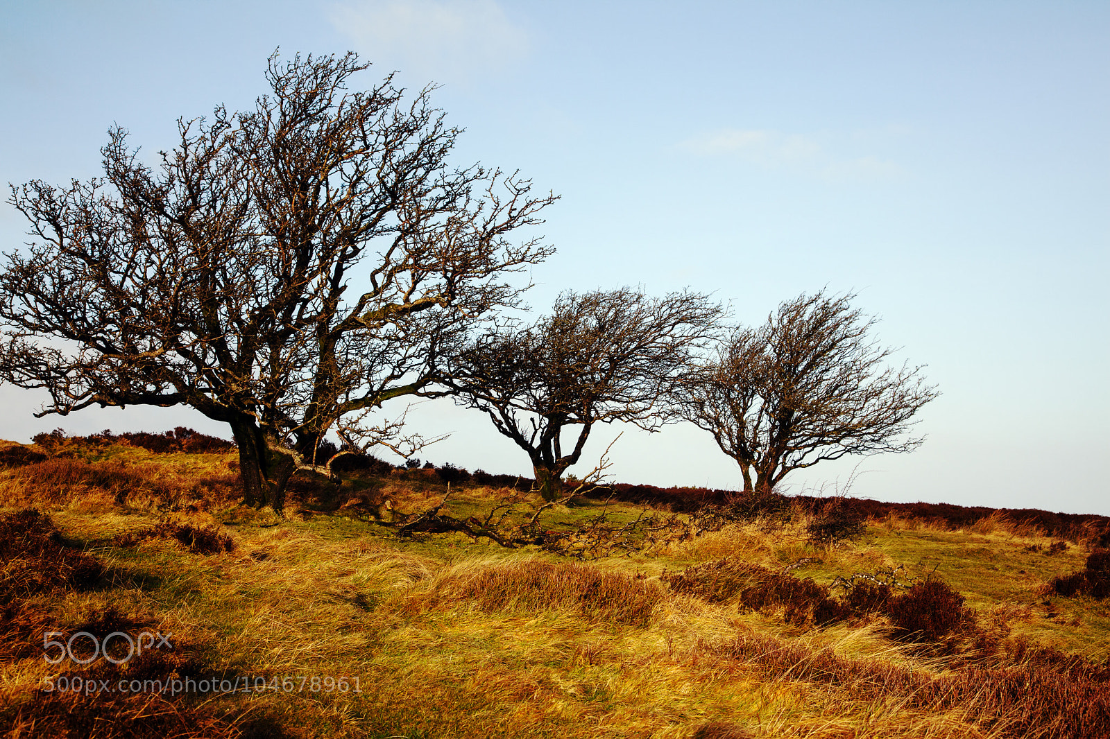 Canon EOS 5D Mark II sample photo. Untitled photography
