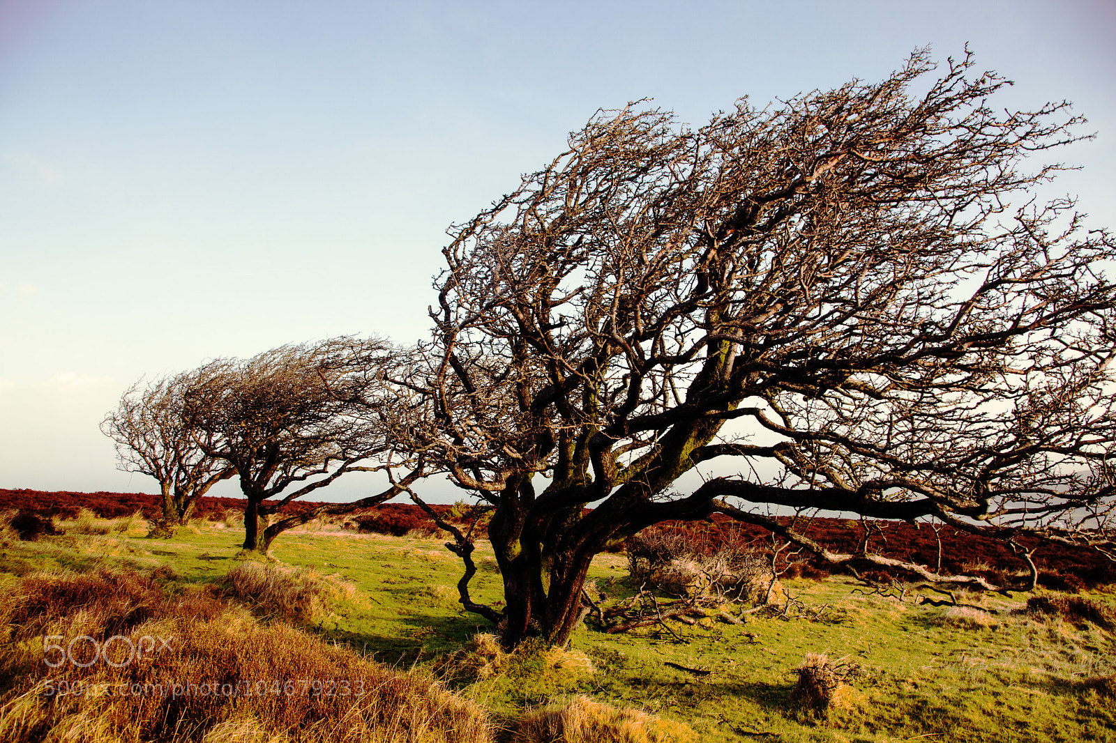 Canon EOS 5D Mark II sample photo. Untitled photography