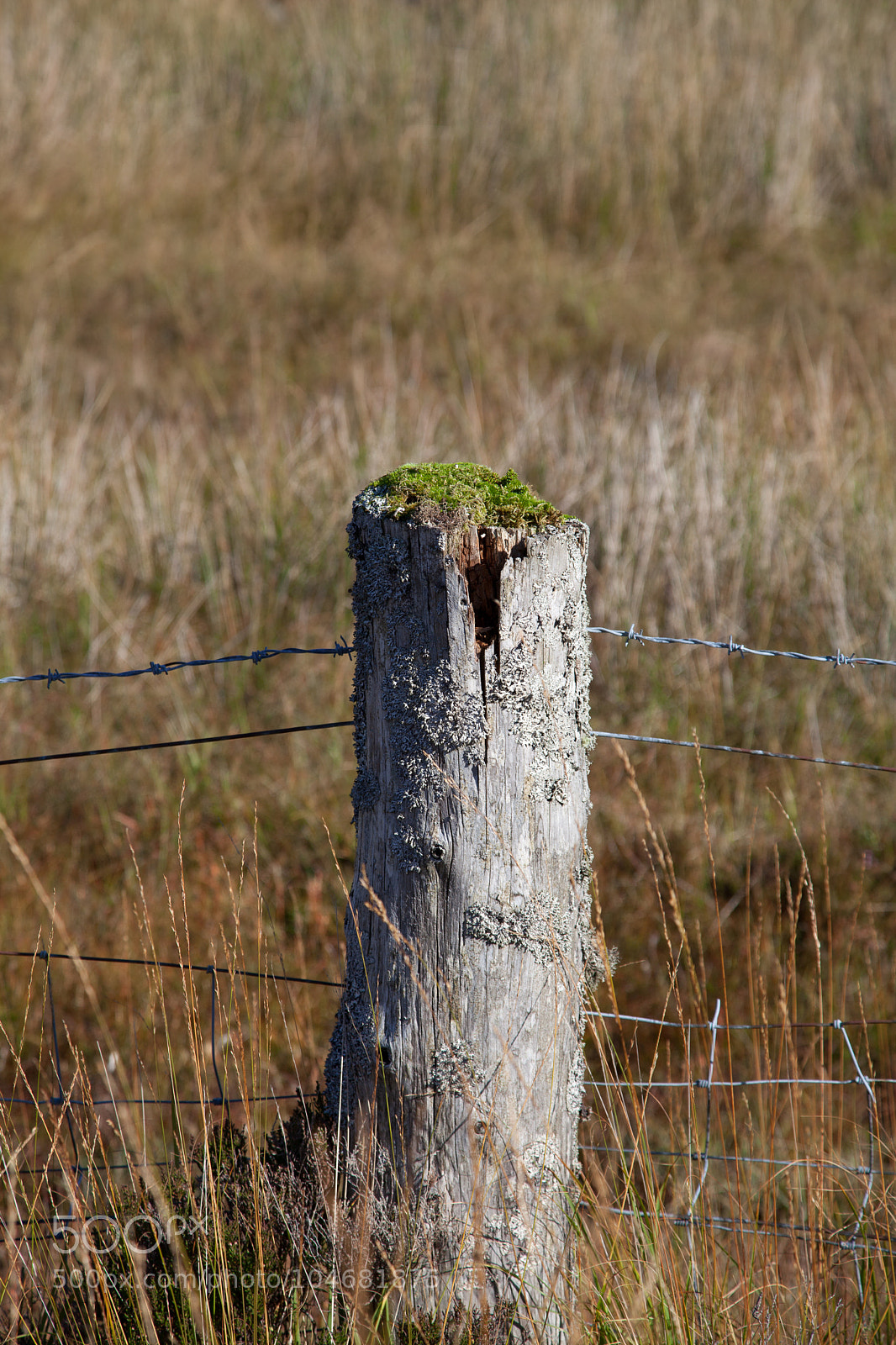 Canon EOS 5D Mark II sample photo. Untitled photography