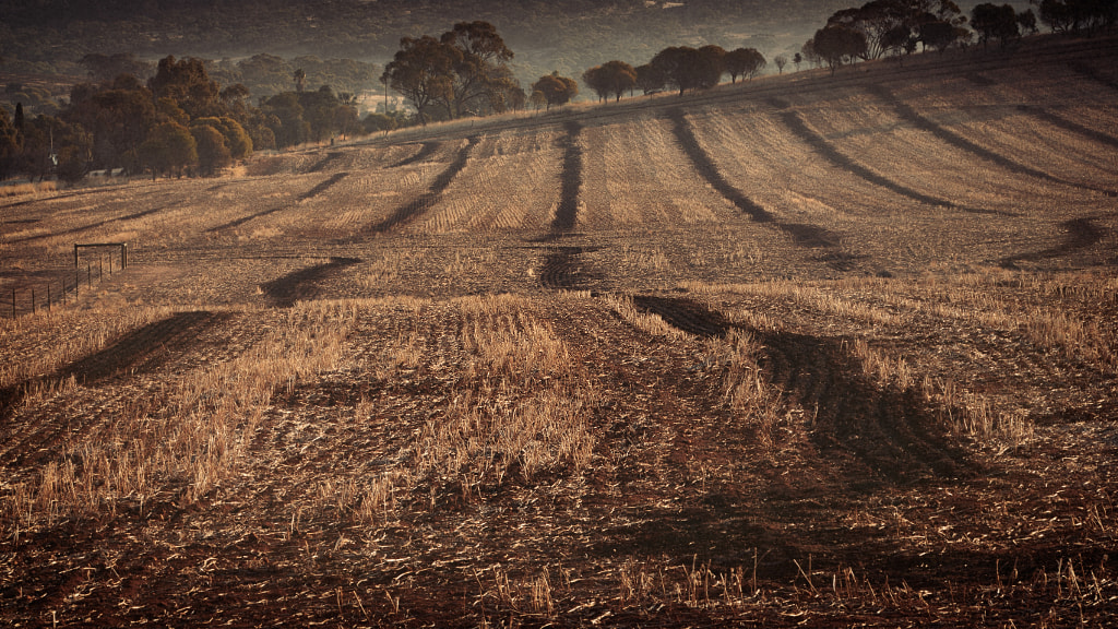 Autumn Burn Off by Paul Amyes on 500px.com