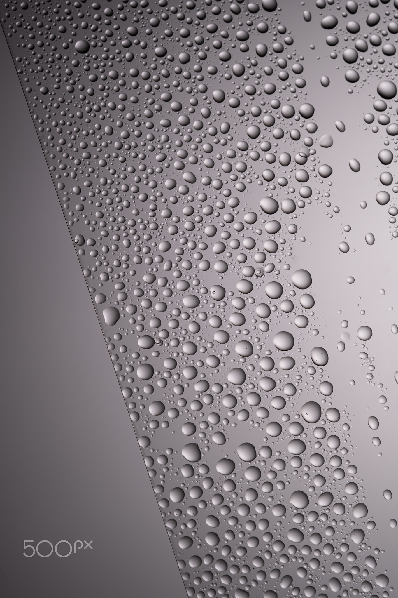 Drops of water on a transparent gray background.