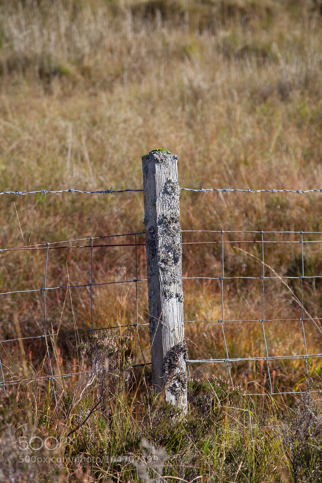 Canon EOS 5D Mark II sample photo. Untitled photography