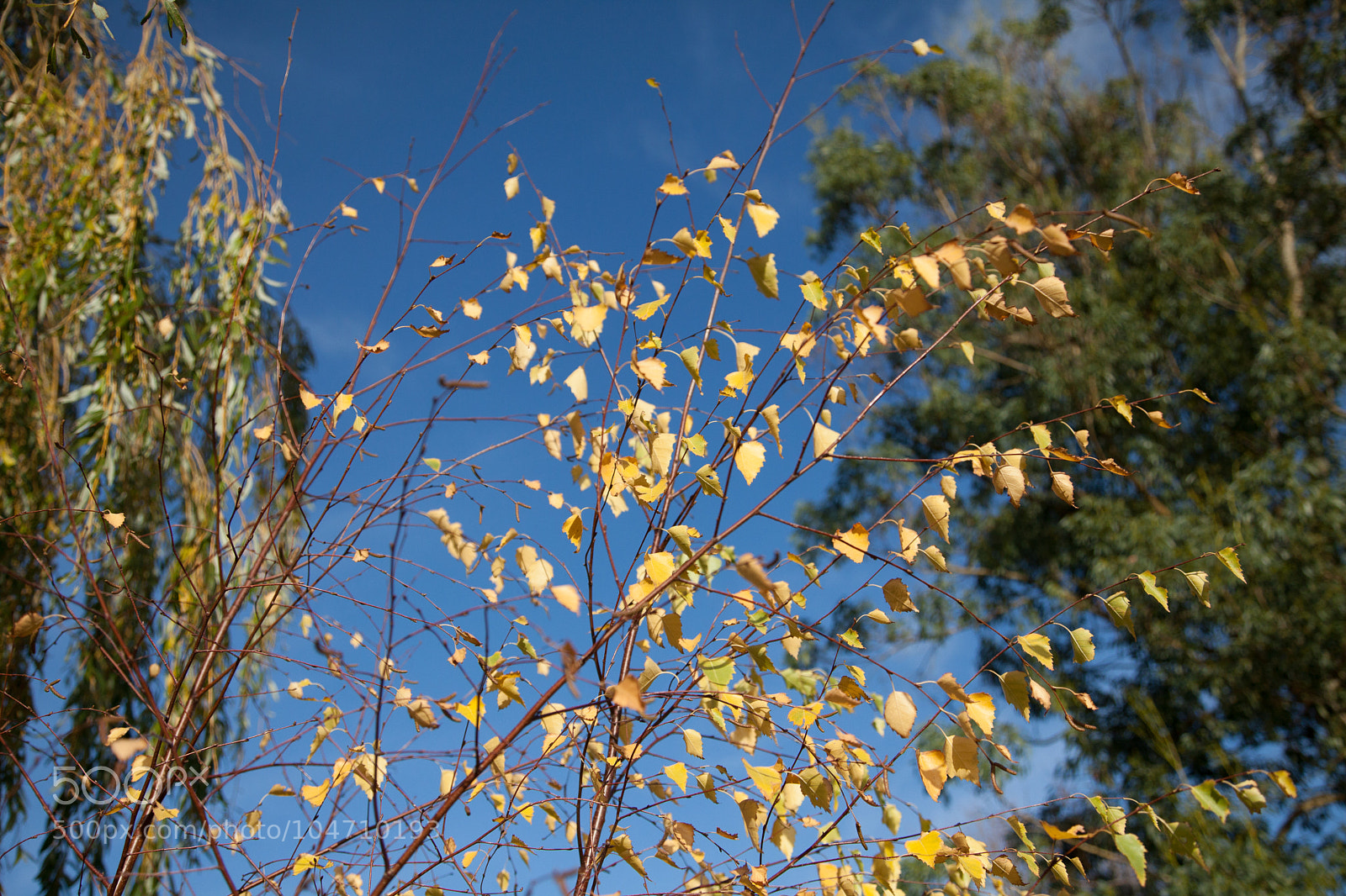 Canon EOS 5D Mark II sample photo. Untitled photography