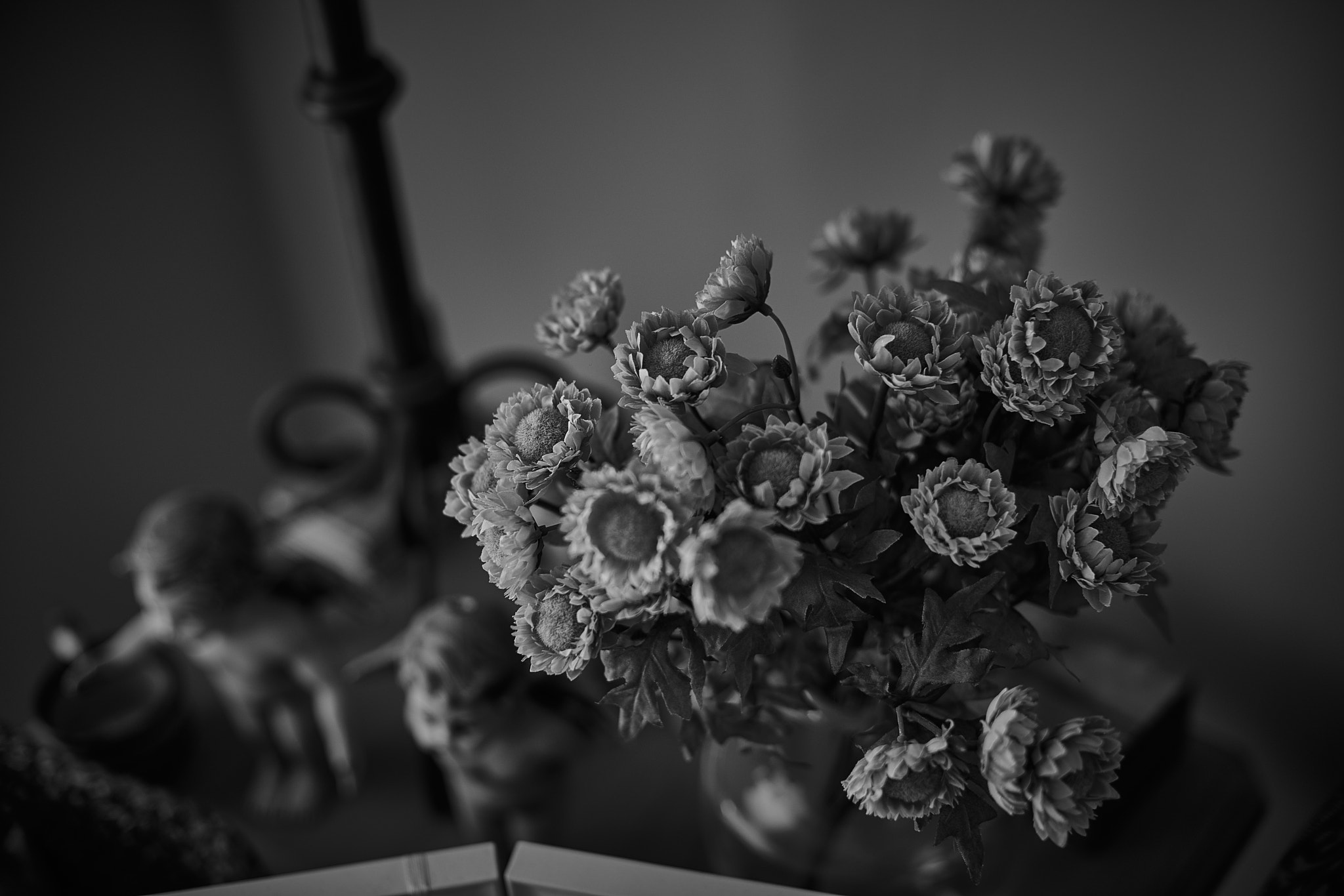 Sony A7R M2 RAW-JPEG TEST w/Nikon Ais 50mm f1.4