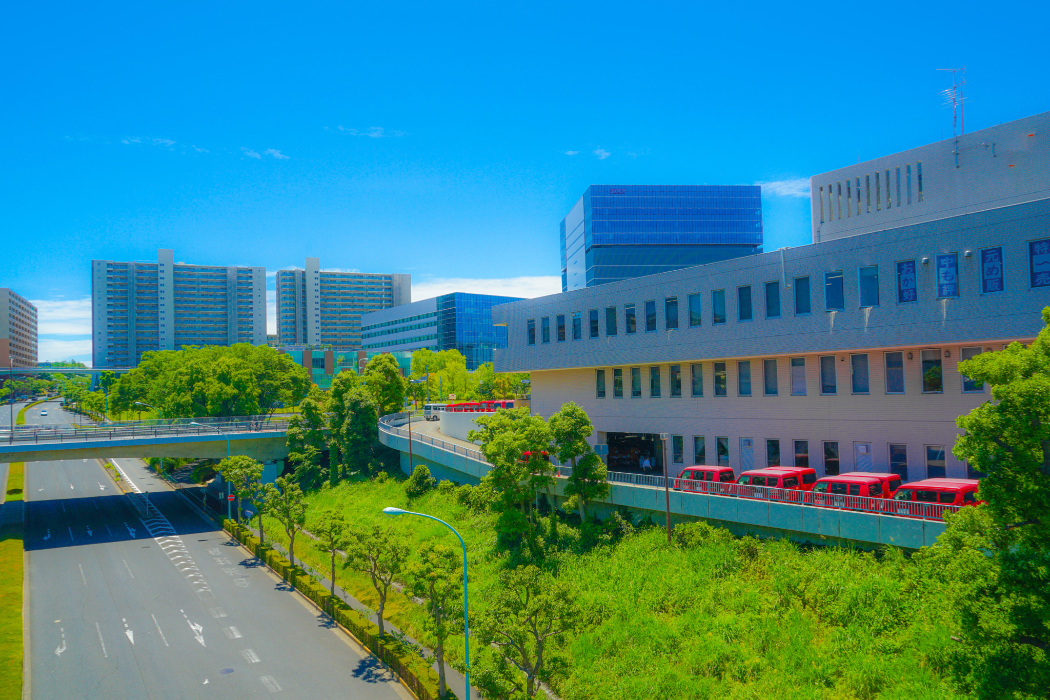 Quarter of the early summer of Tama Center