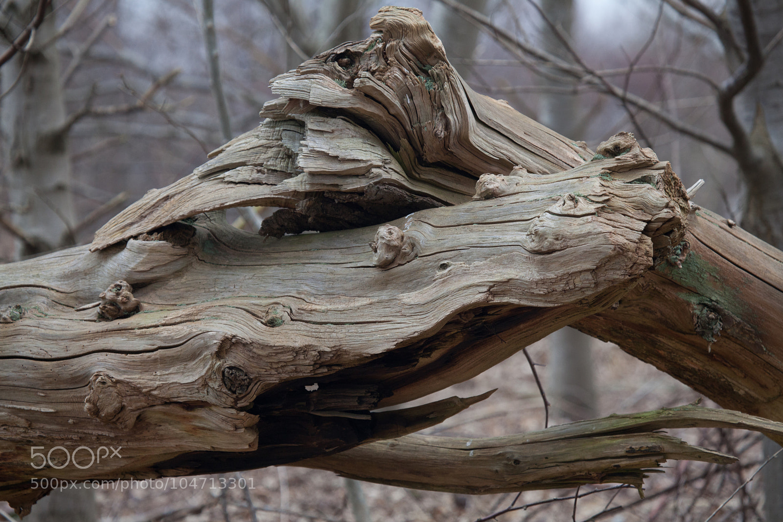 Canon EOS 5D Mark II sample photo. Untitled photography
