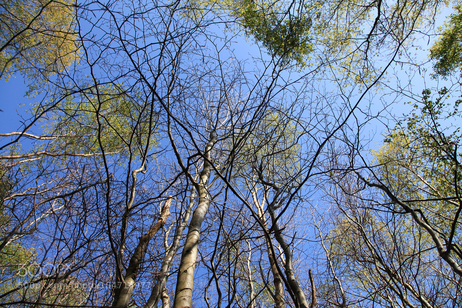 Canon EOS 5D Mark II sample photo. Untitled photography